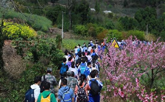 春暖花开丨聚峰谷橄榄树春季研学之旅正当时